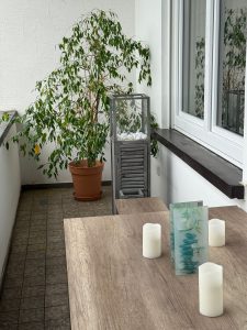 Pflanze auf Balkon, Tisch und Dekoration