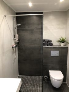 ebene Dusche, Handtücher, Pflanze und WC