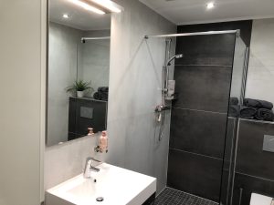 Spiegel, Dusche, Handtücher, Handseife, Pflanze